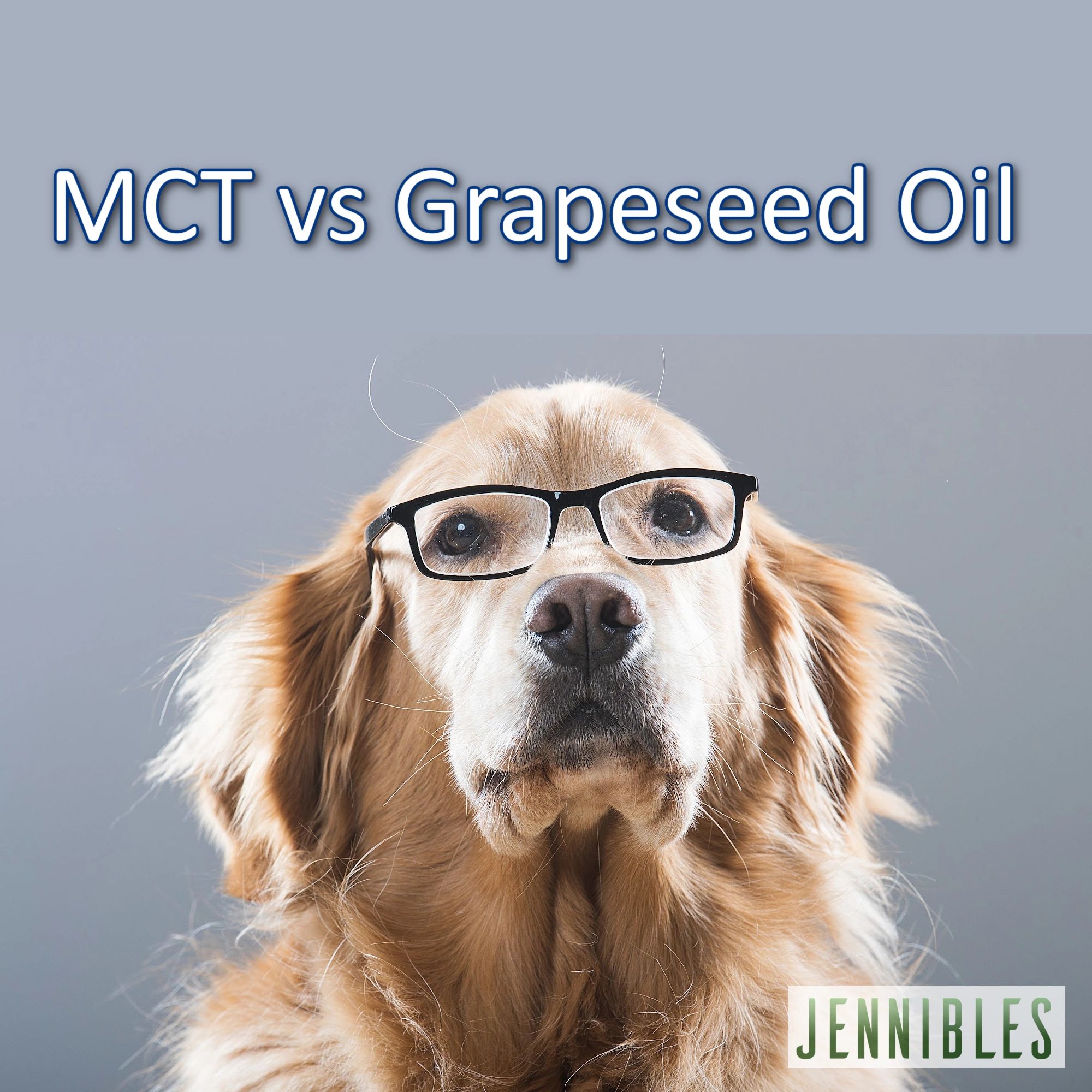 MCT vs Grapeseed Oil for Dogs